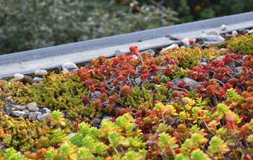 the cost of Polladras green roof installation