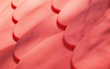 Polladras plastic roof costs