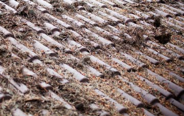 Polladras roof cleaning companies