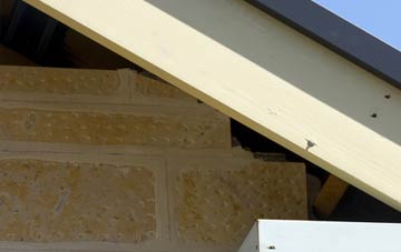 soffit repair Polladras