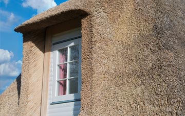 Polladras thatch roof disadvantages