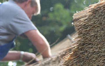 professional Polladras thatchers