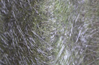 Polladras fibreglass roof work