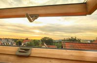 rated Polladras roof window companies